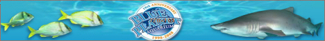 Chestertourist.com - Blue Planet Aquarium